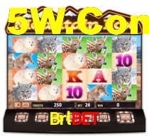 Premium Interface Brlbet